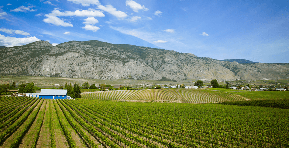 Bordertown Estate Winery