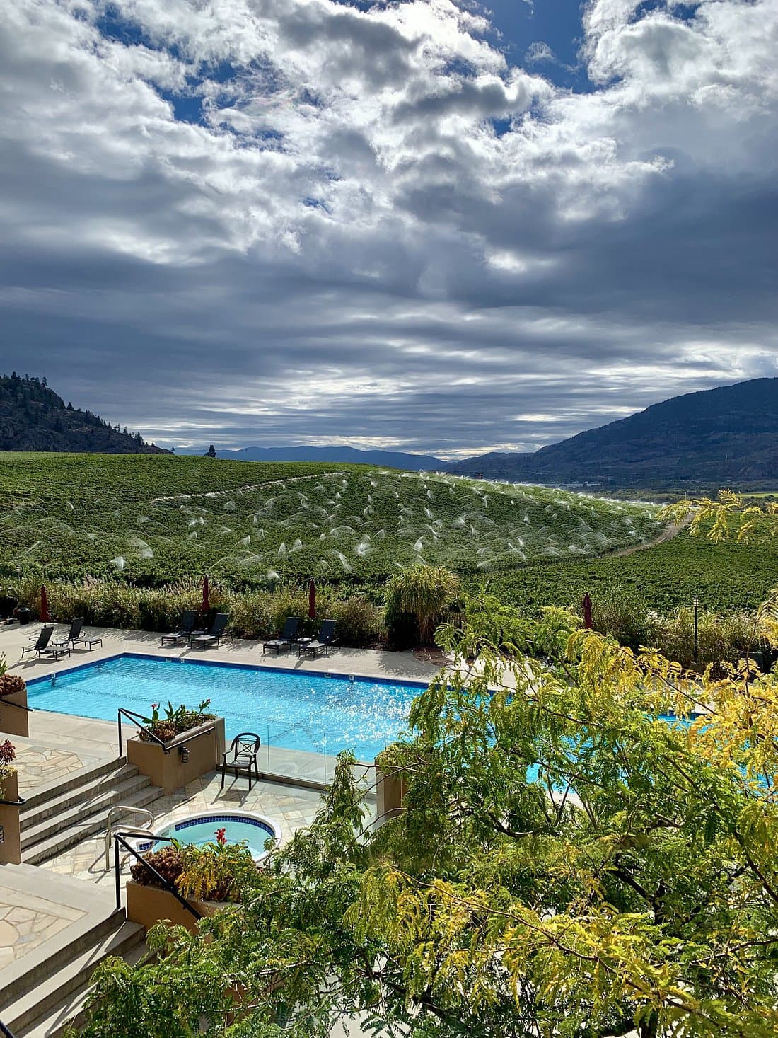 Burrowing Owl Estate Winery