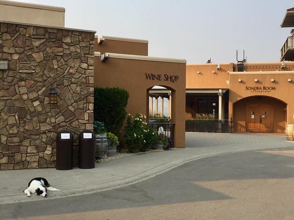 Burrowing Owl Estate Winery