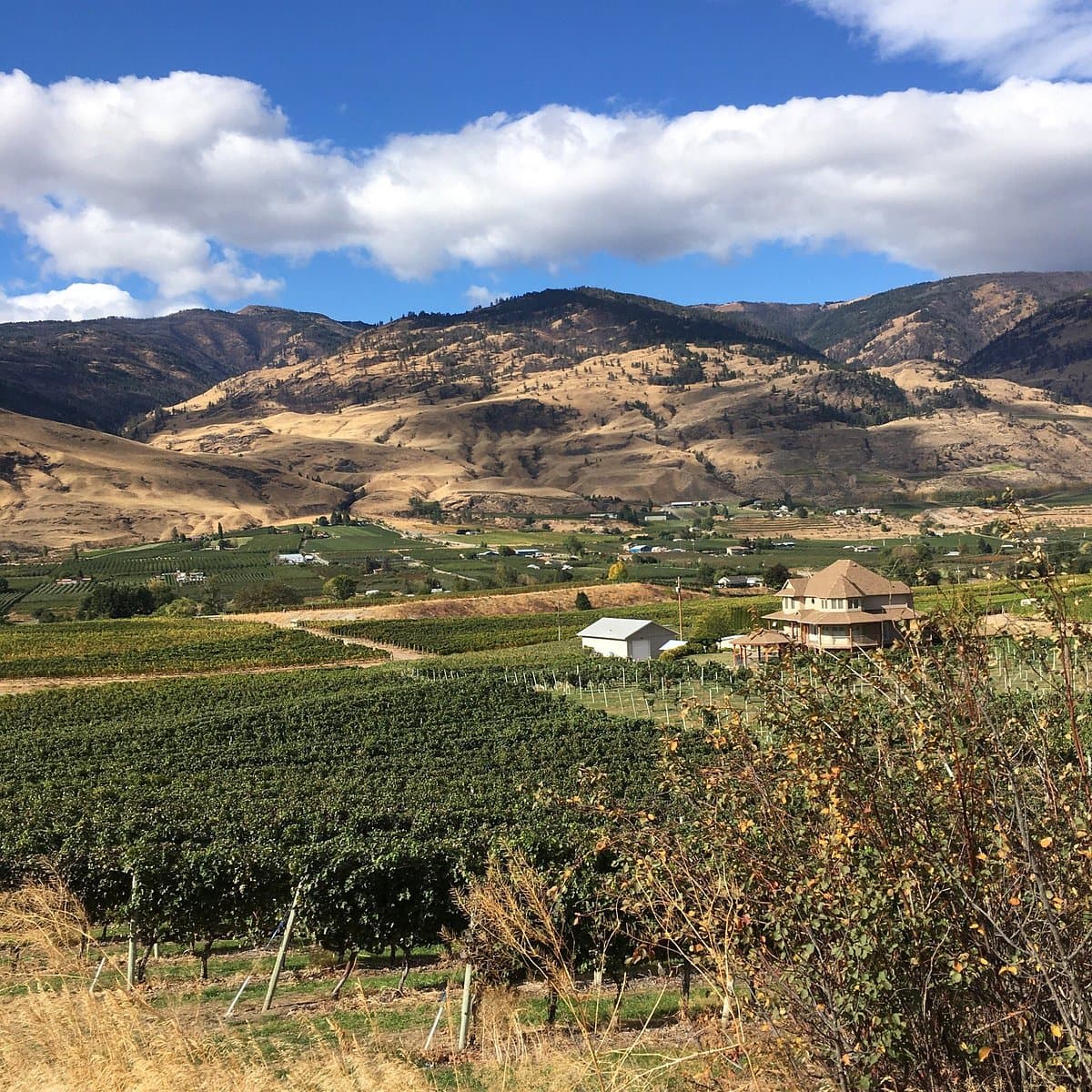 Church and State Wines