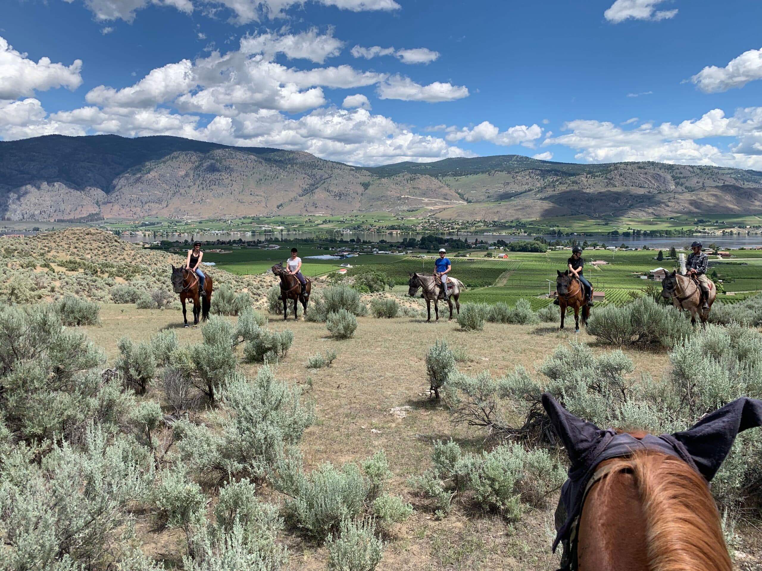 Sun Hills Riding Centre