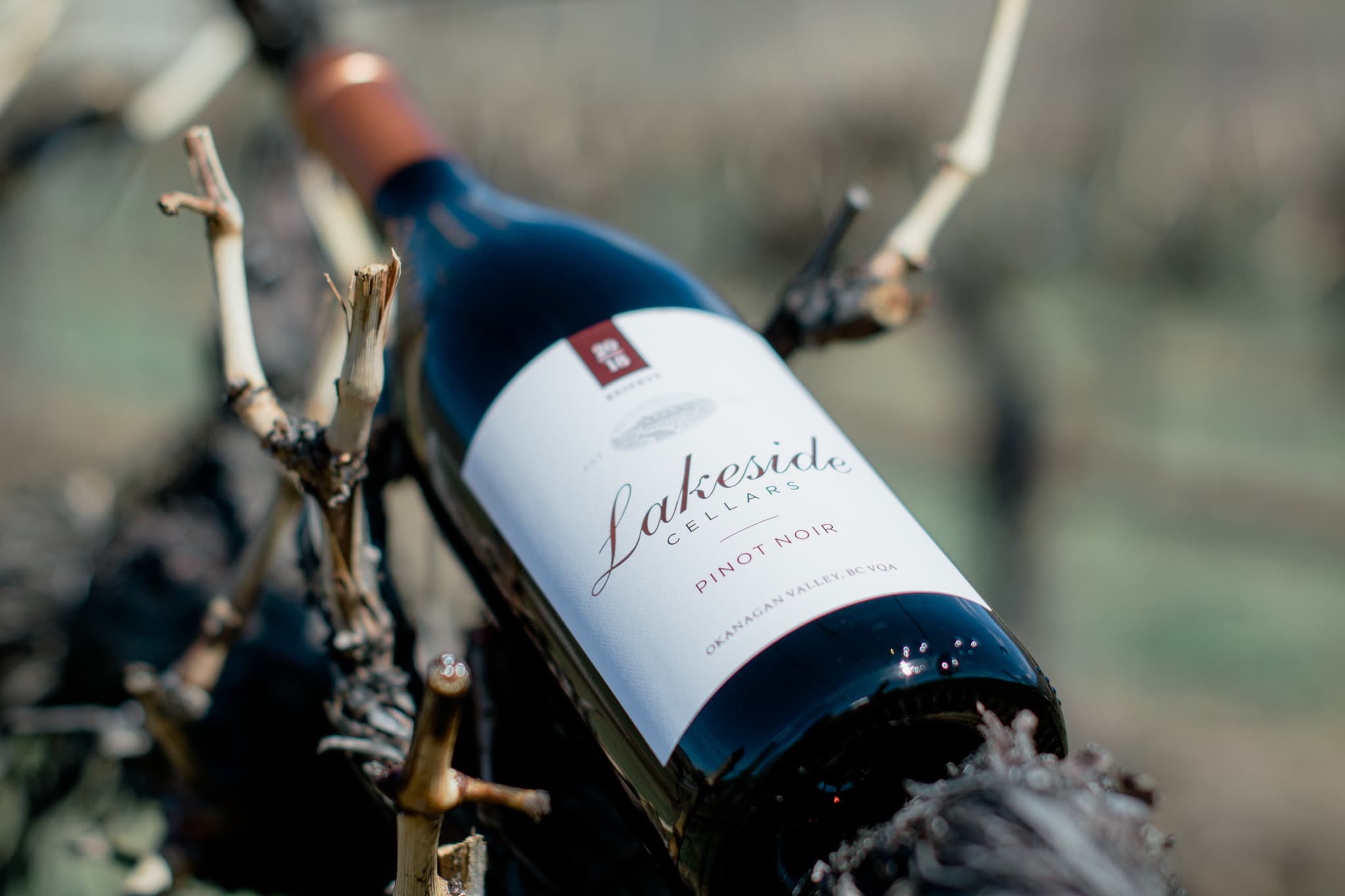 Lakeside Cellars