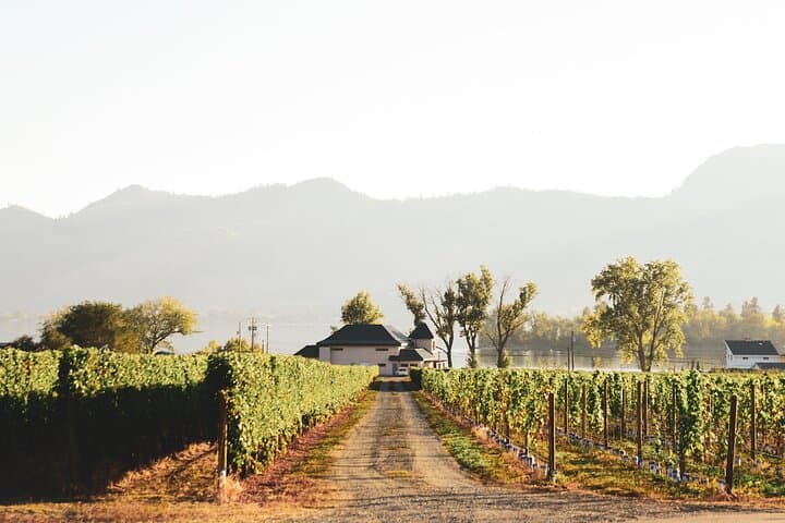 Lakeside Cellars