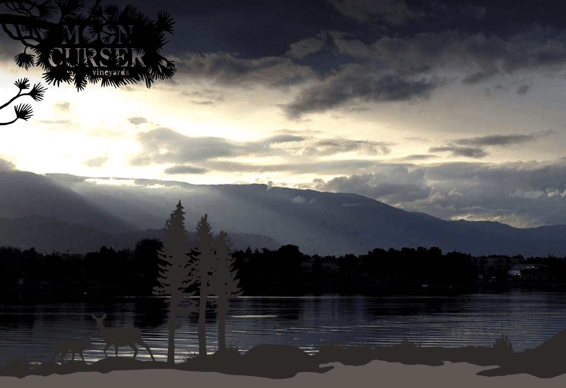 Moon Curser Vineyards