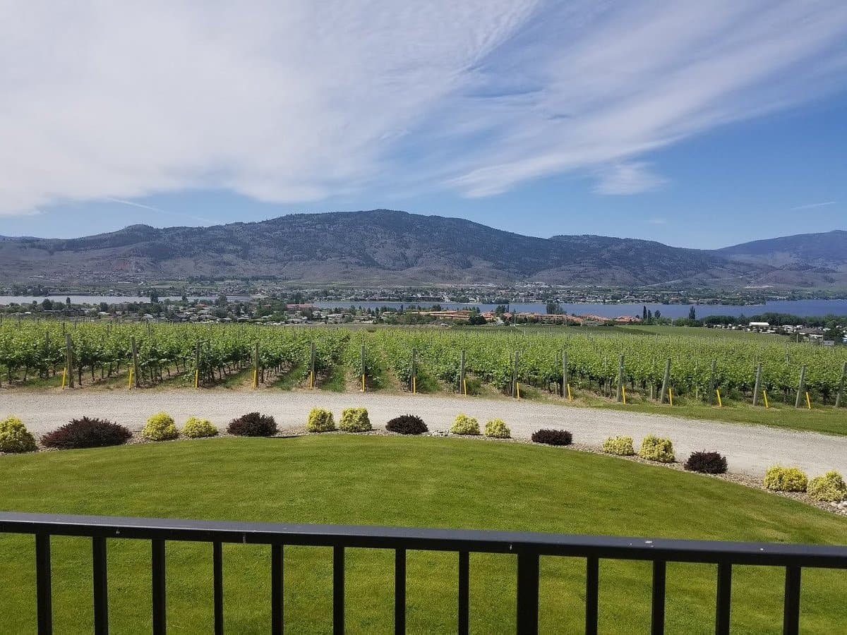 Moon Curser Vineyards