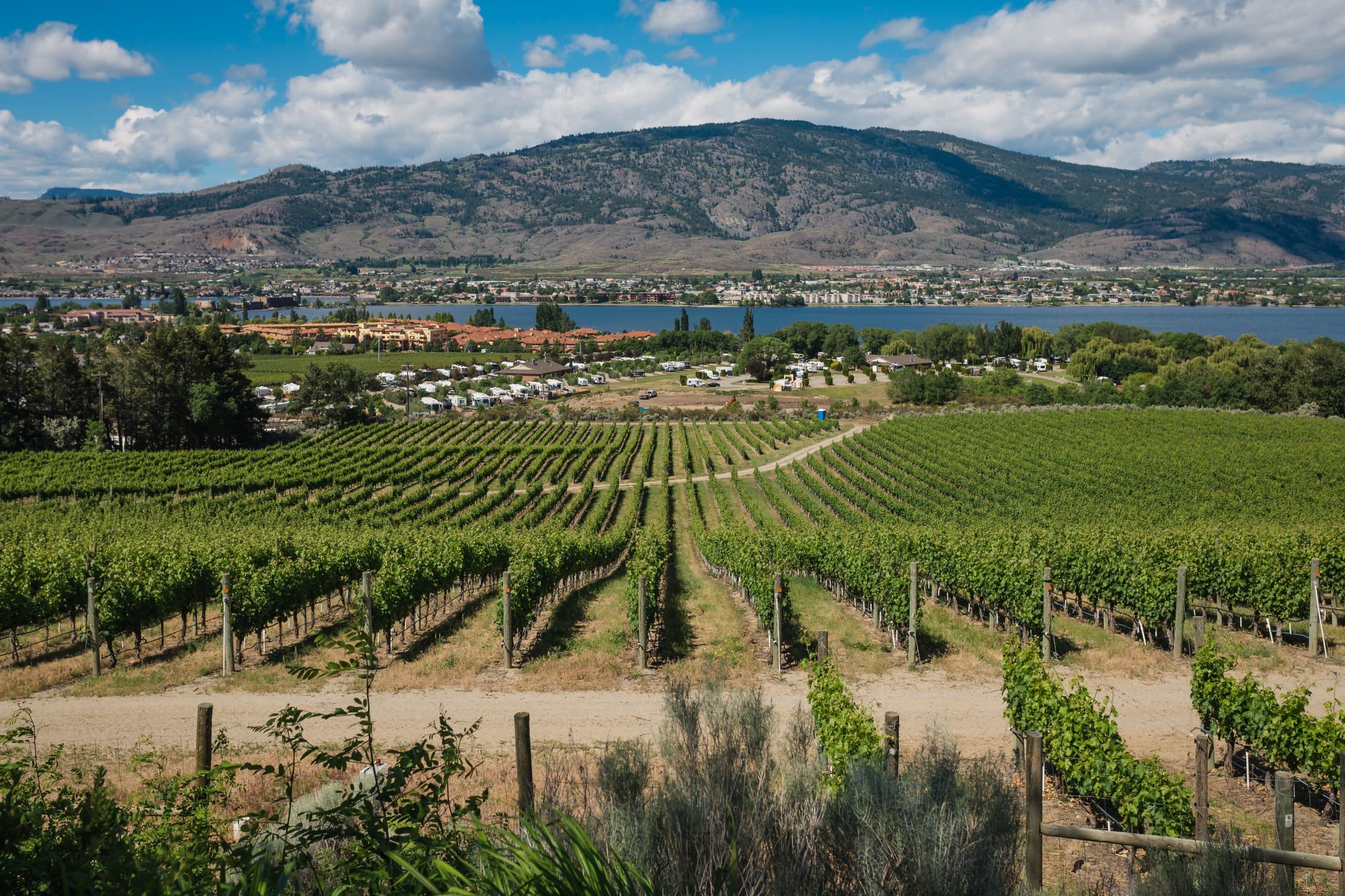 Nk’Mip Cellars