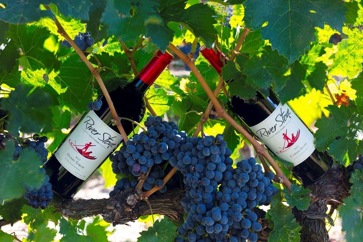 River Stone Estate Winery