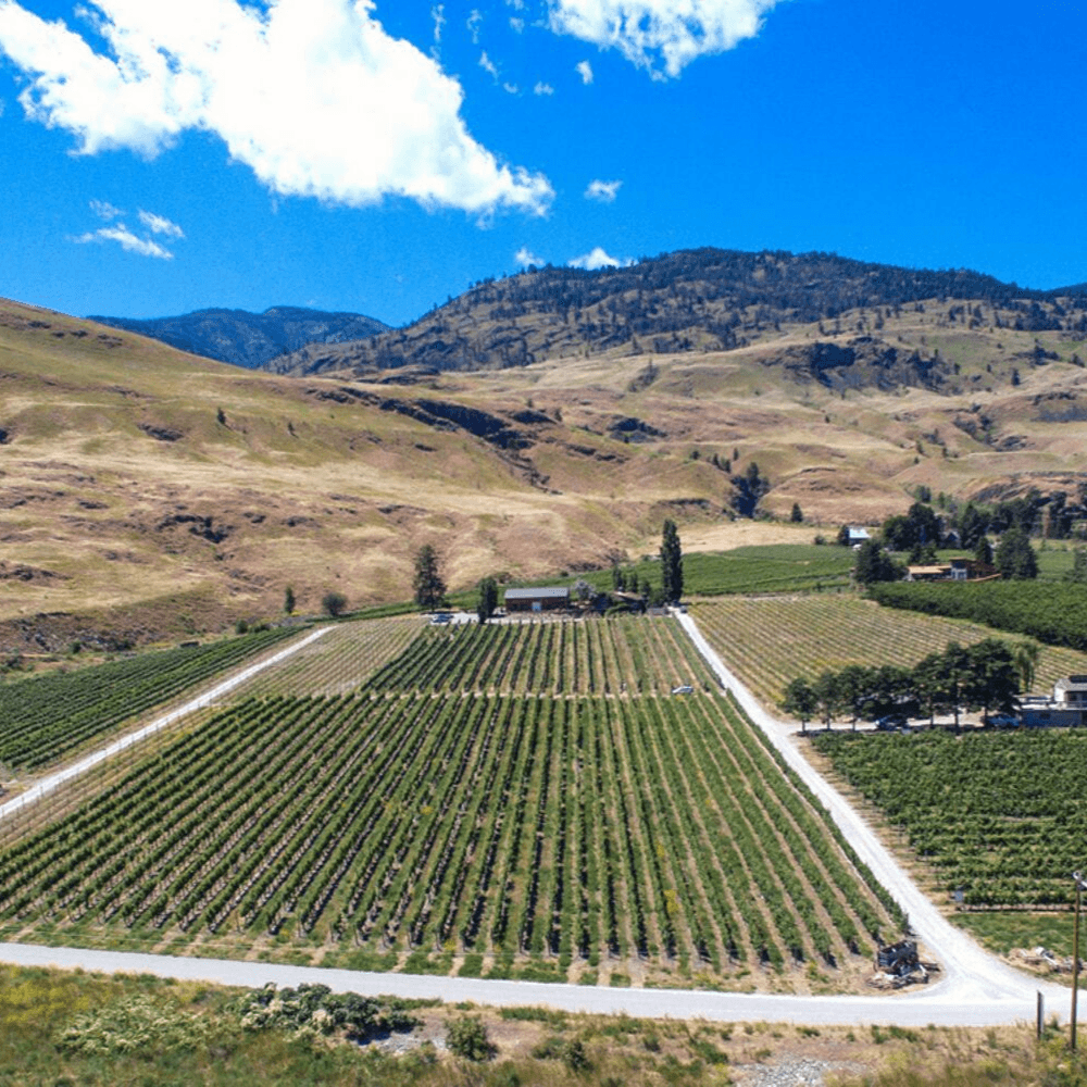 Rust Wine Co.