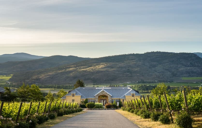 Tinhorn Creek Vineyards