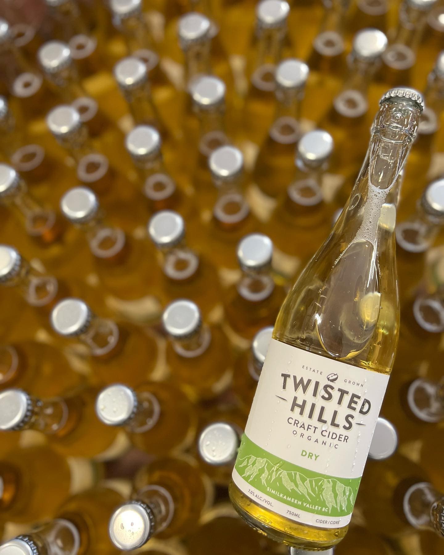Twisted Hills Craft Cider