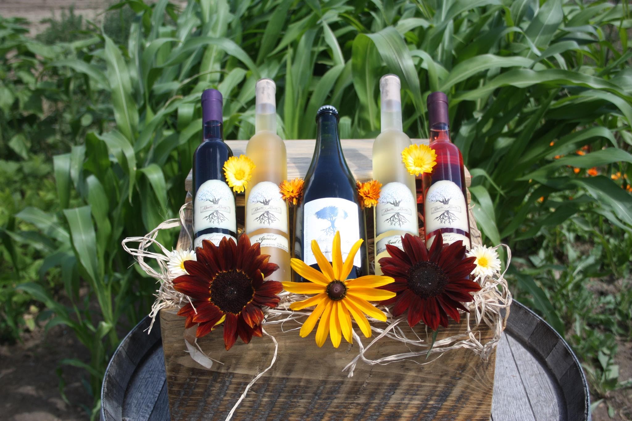 Rustic Roots Winery