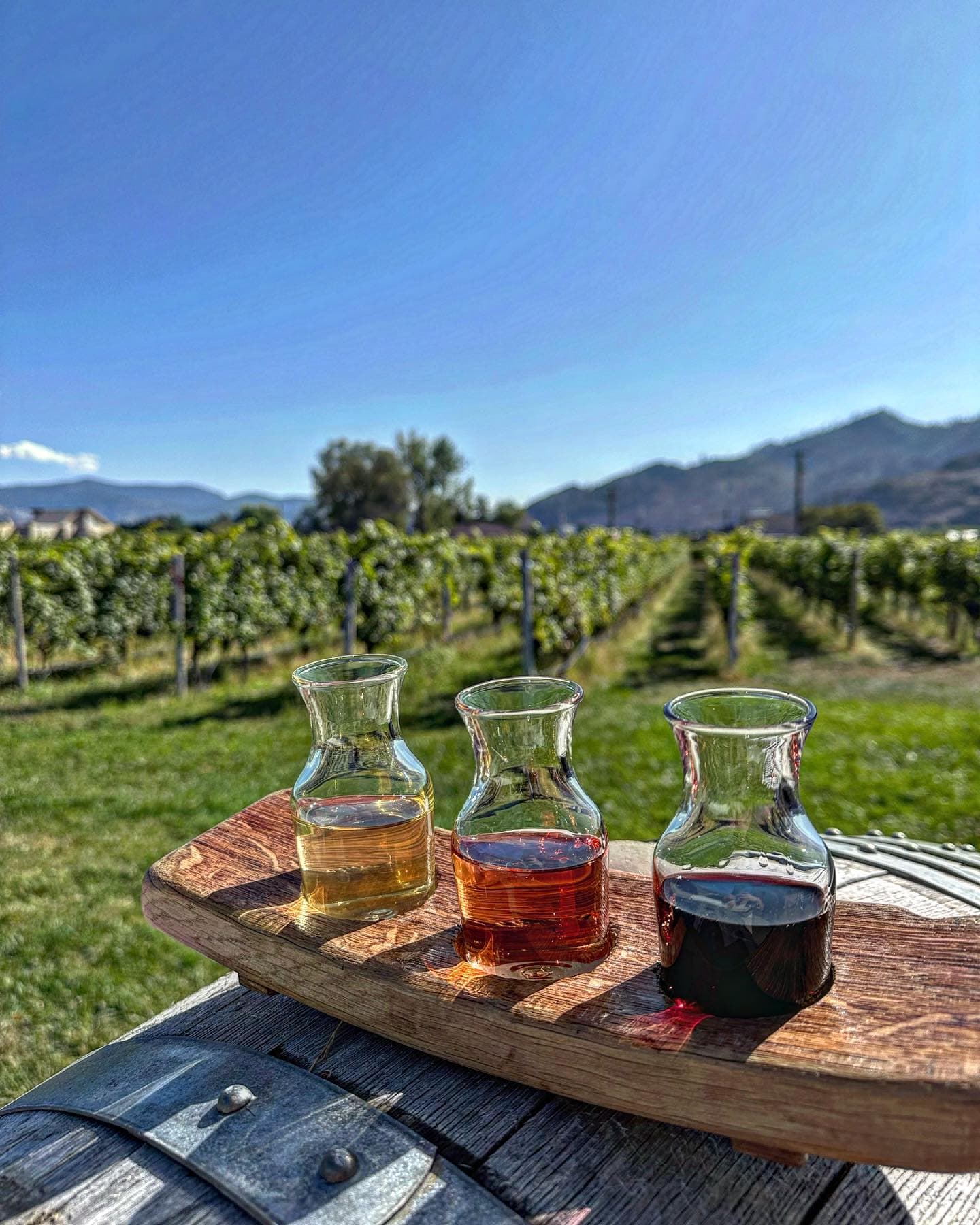 Over the Fence Winery