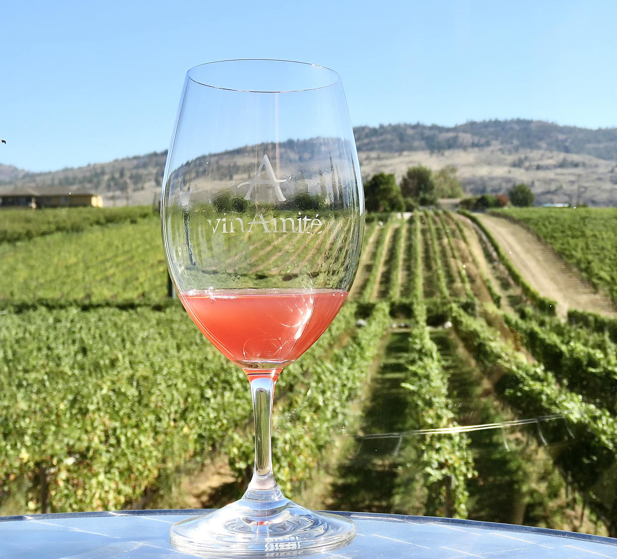 vinAmité Cellars
