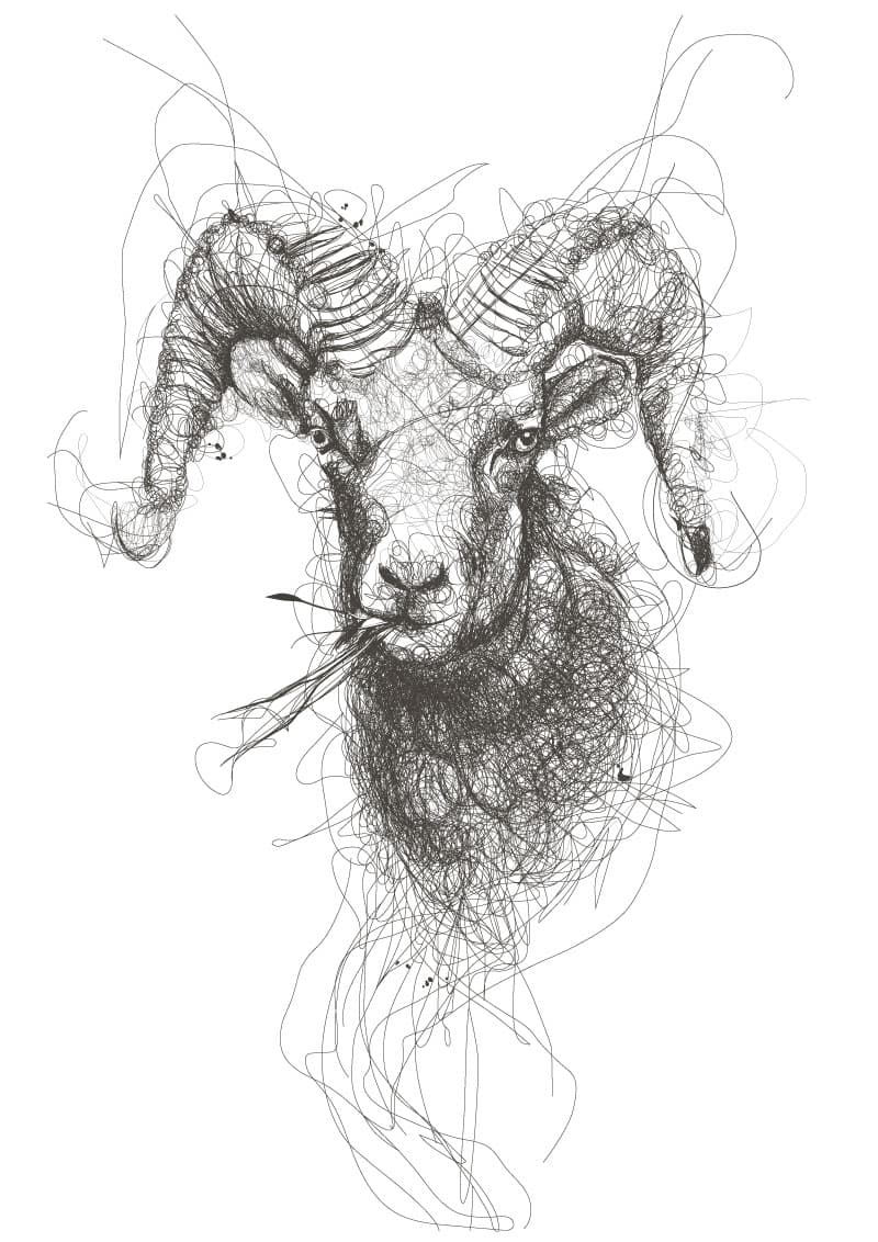 Ramification Cellars logo
