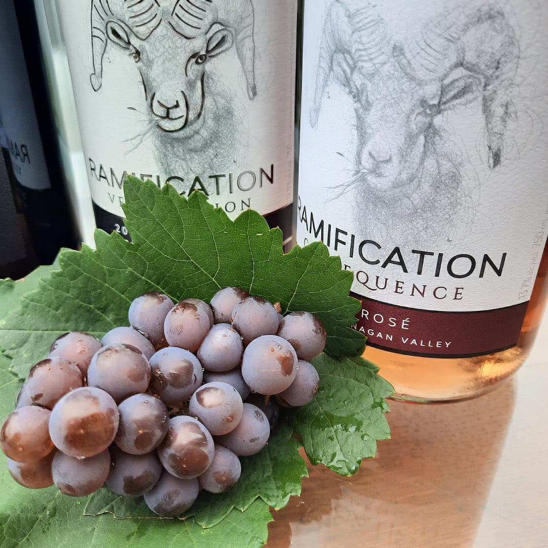 Ramification Cellars