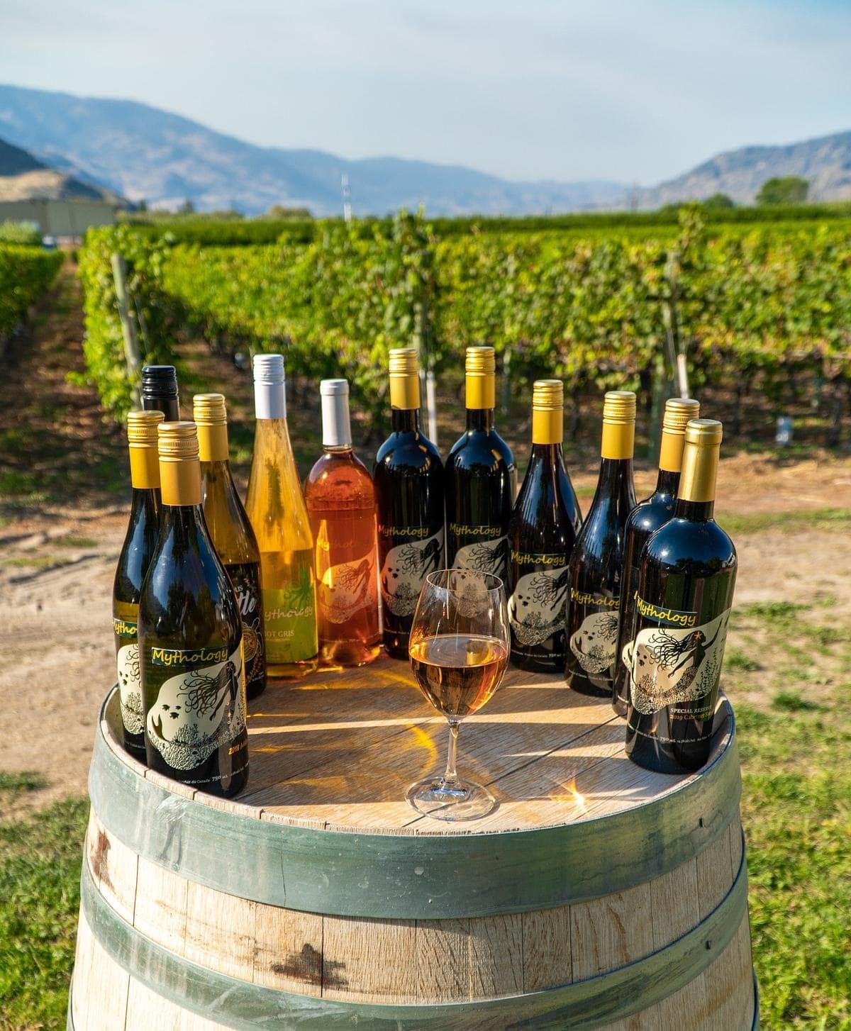 Mythology Vineyard