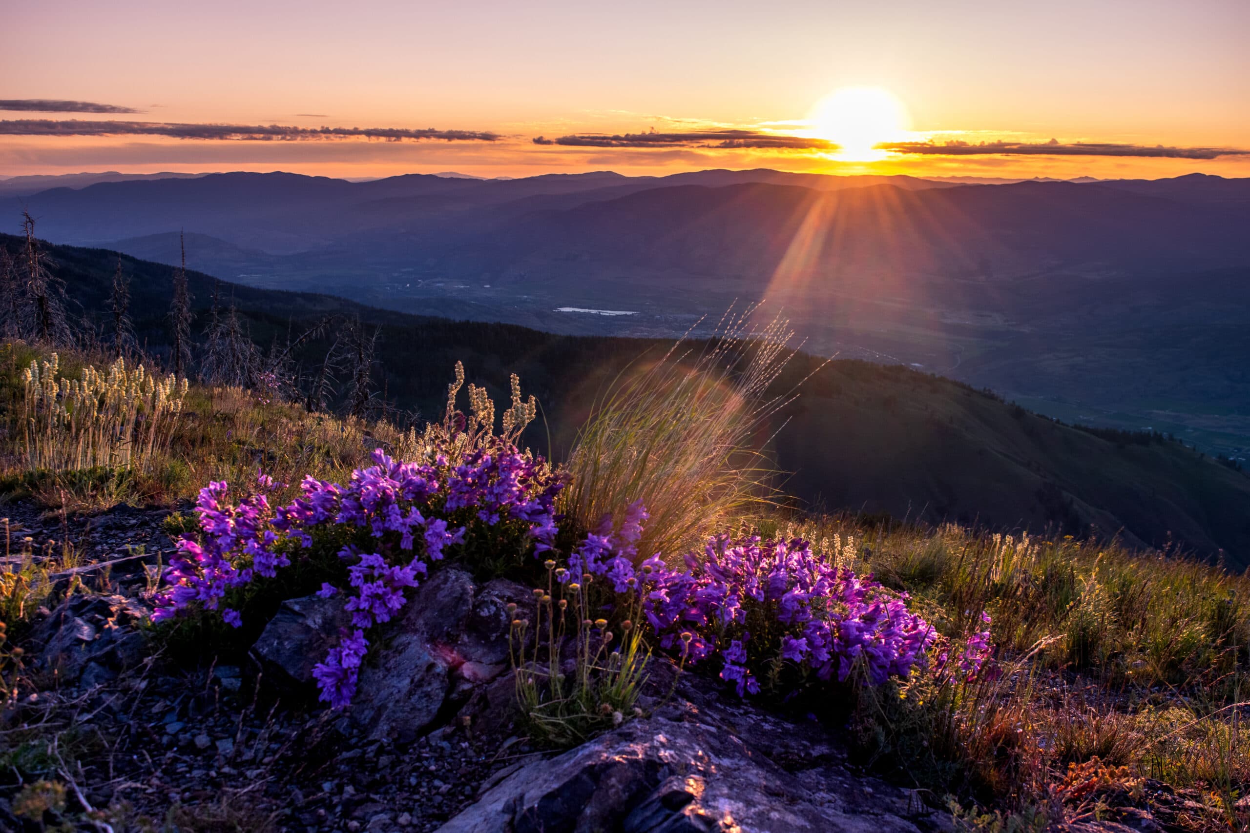 Three great hikes to do this spring near Osoyoos