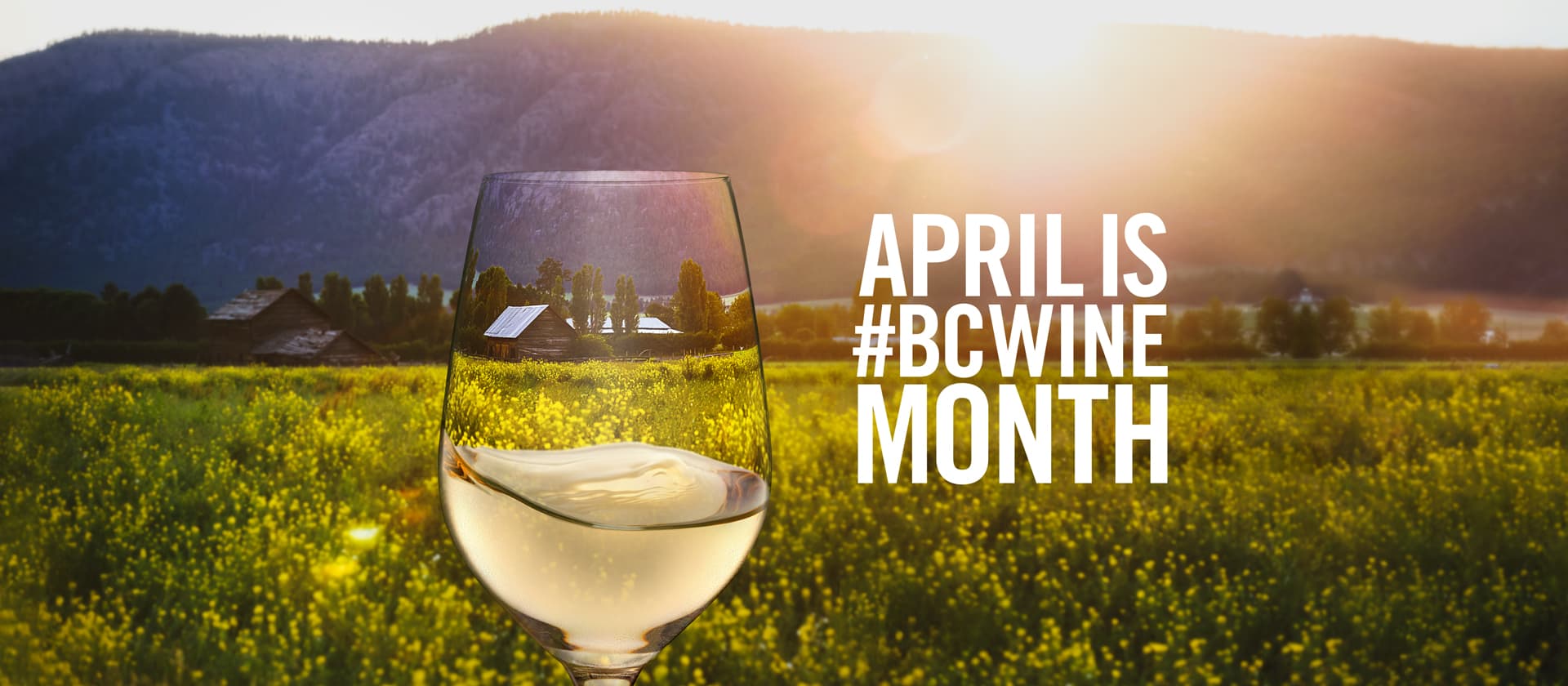 Celebrate local winegrowing during BC Wine Month