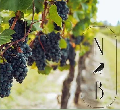 Night Bird Estate Winery