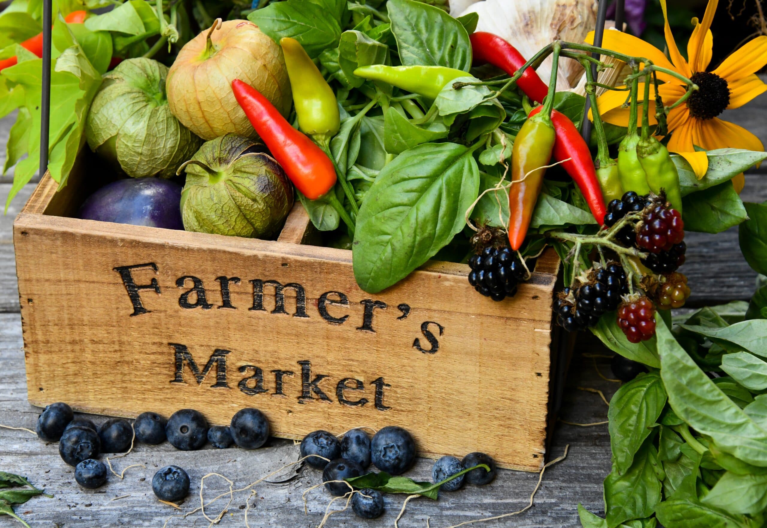 Osoyoos Farmers Market @ Town Hall Square