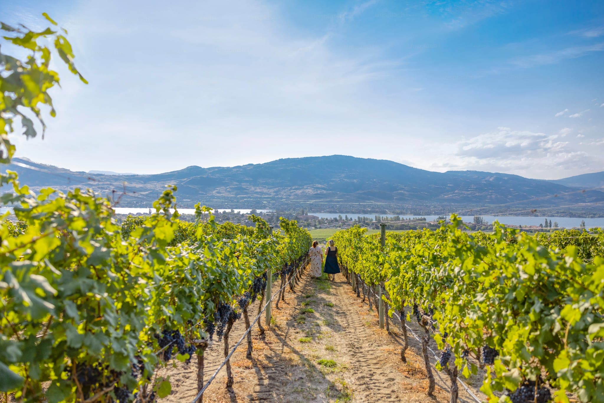 Plan Your Trip — Osoyoos