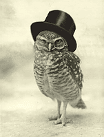 The Owl Pub logo