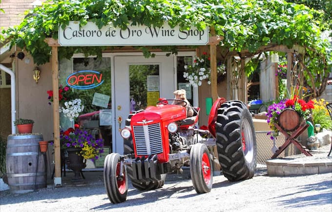 Castoro de Oro Estate Winery