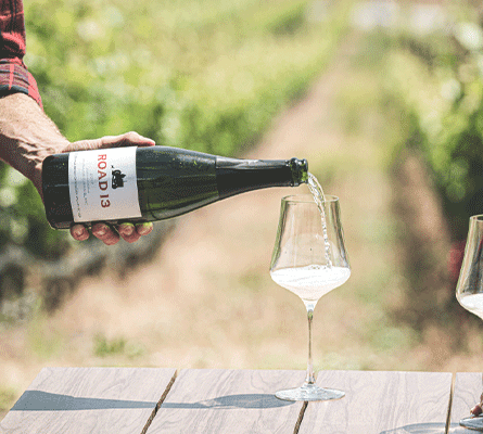 Road 13 Vineyards