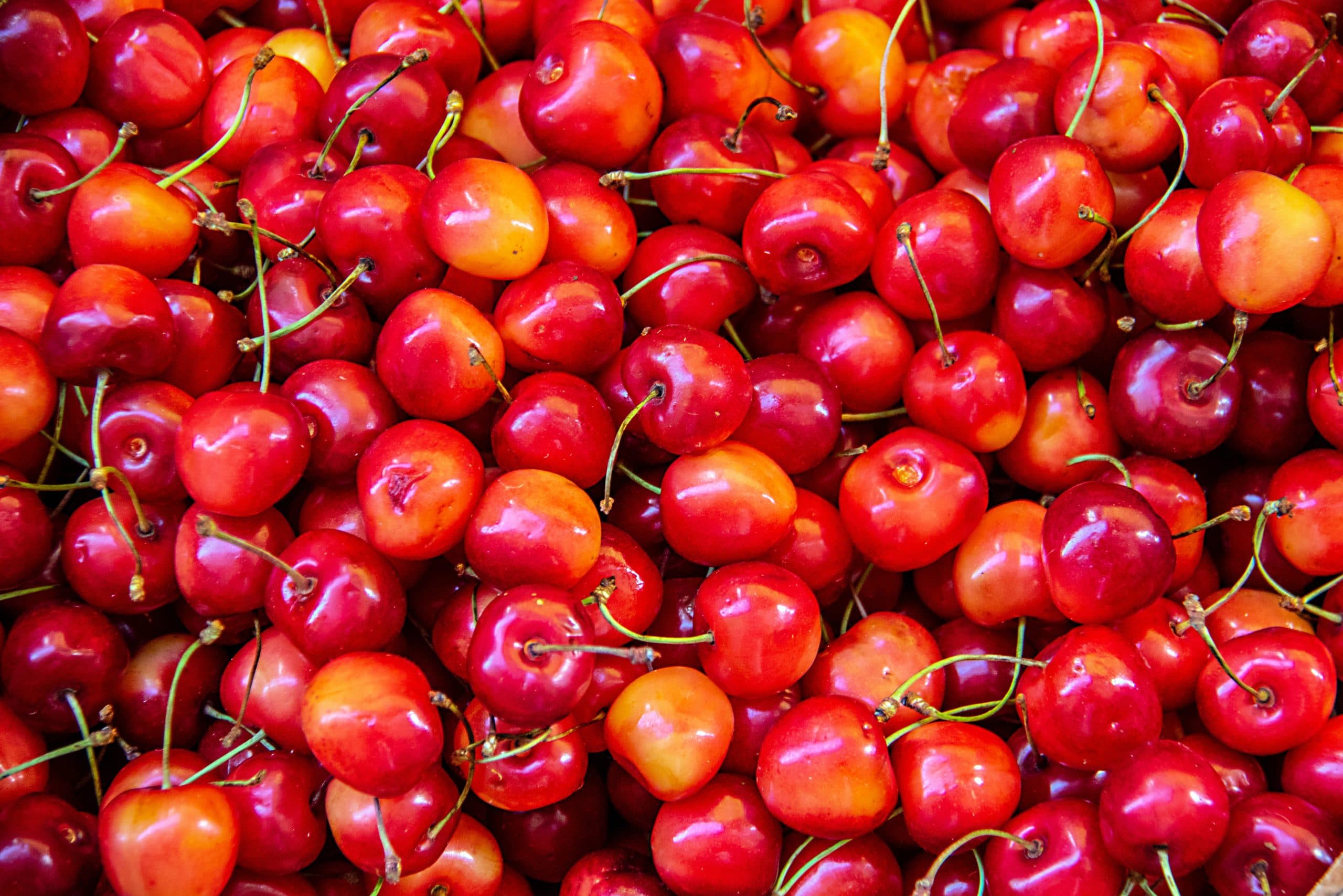 Amrik Fruit Stand