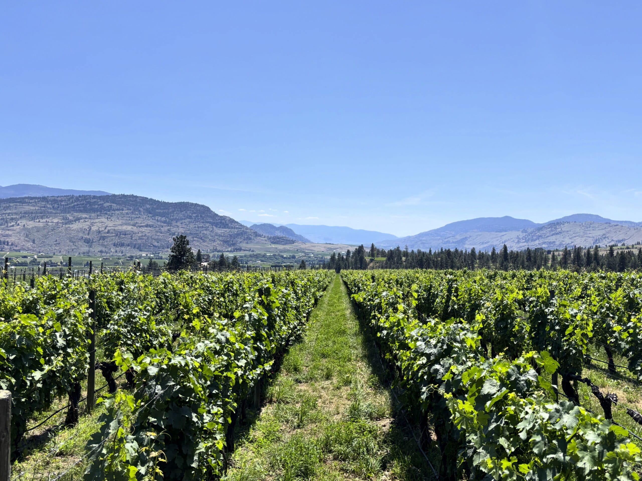 Fairview Cellars