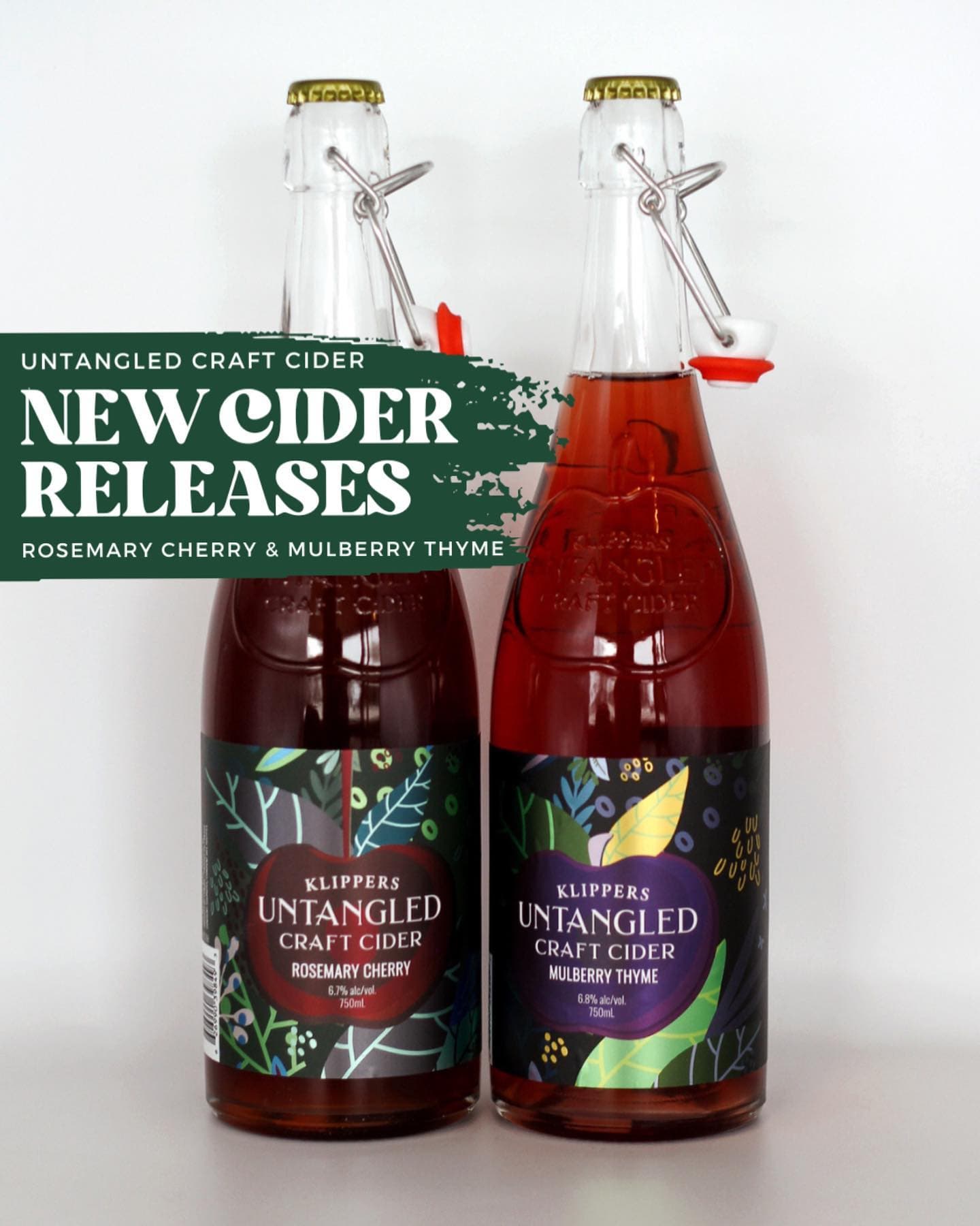 Untangled Craft Cider
