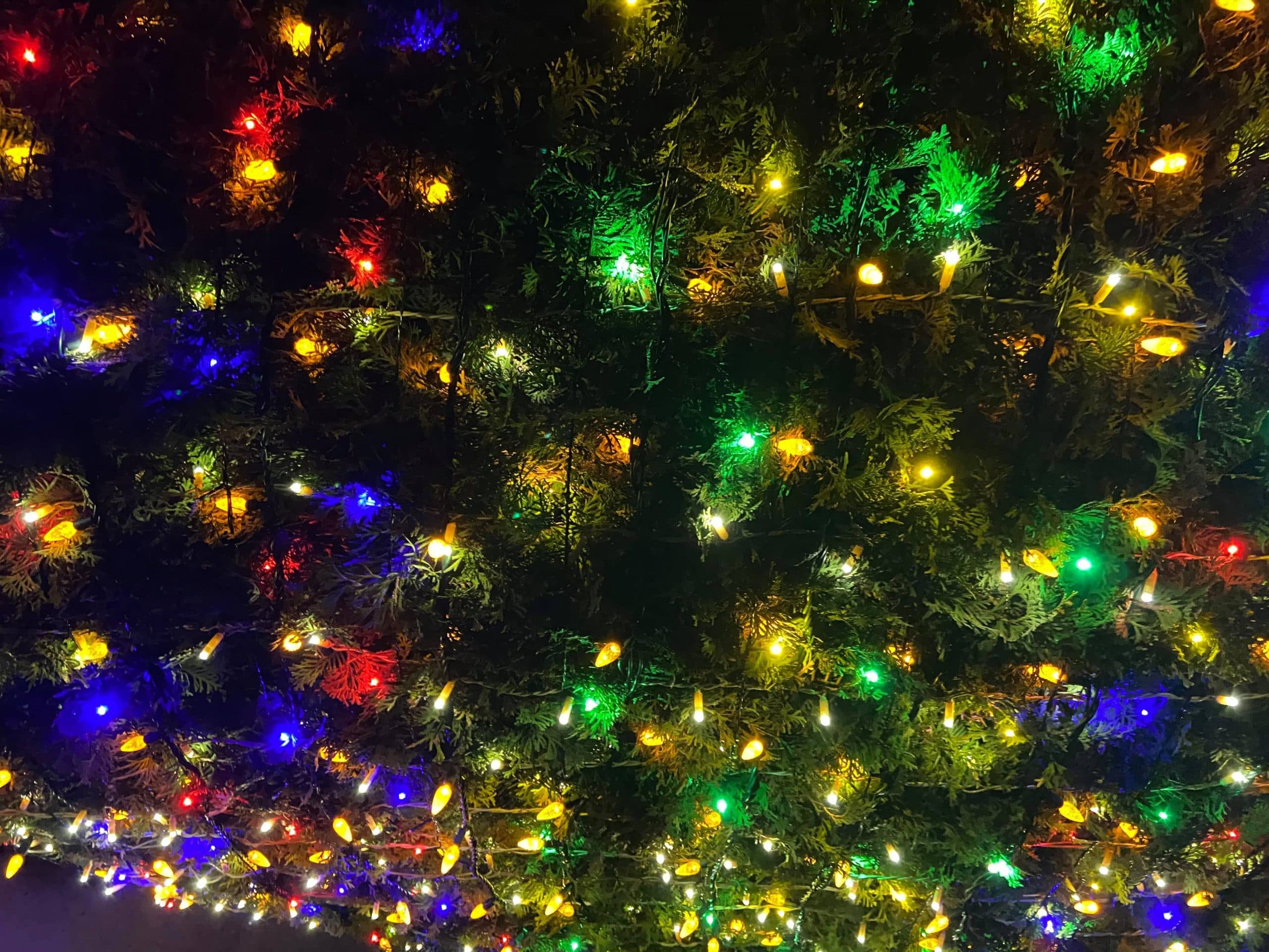 Holiday Lights in Osoyoos