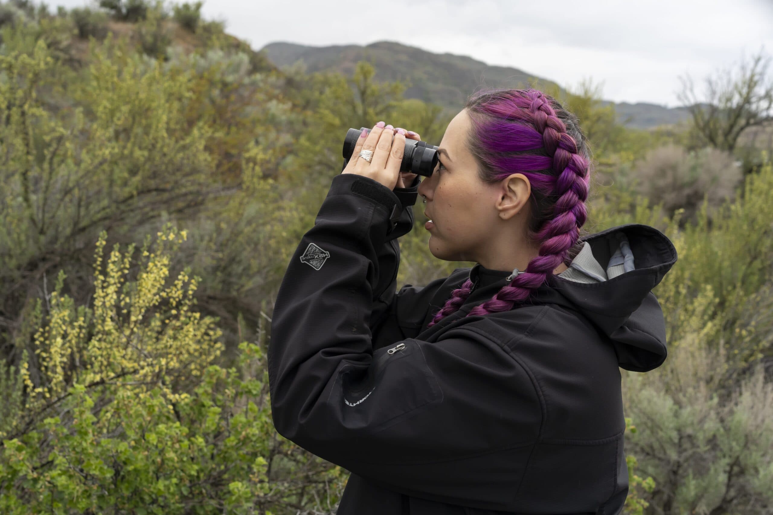 Birding on the BC Bird Trail