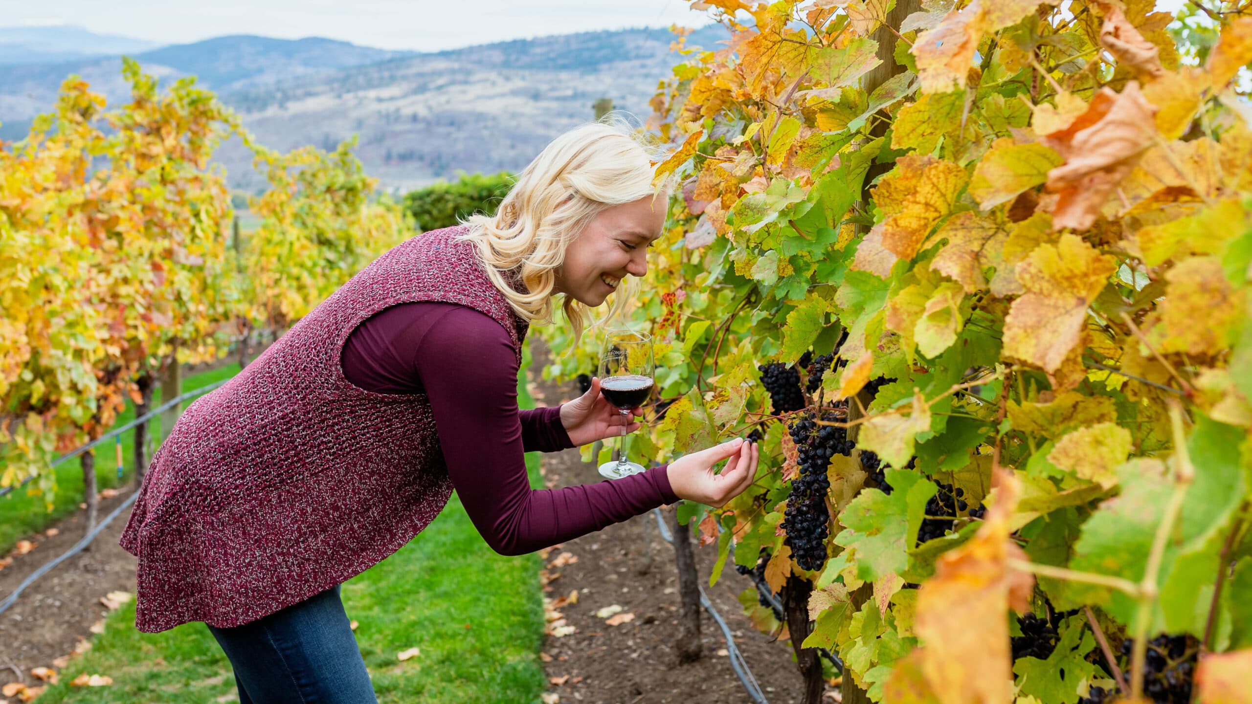 Fall into Osoyoos: Daily trip planner and ideas for a seasonal escape