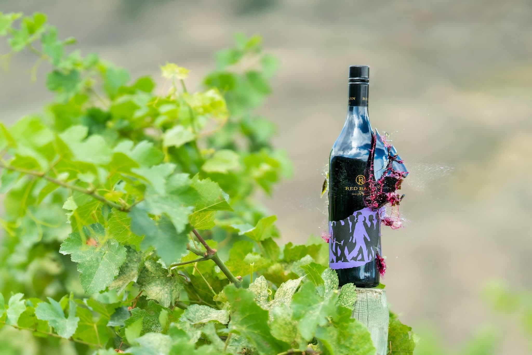 Red Barn Winery at Jagged Rock