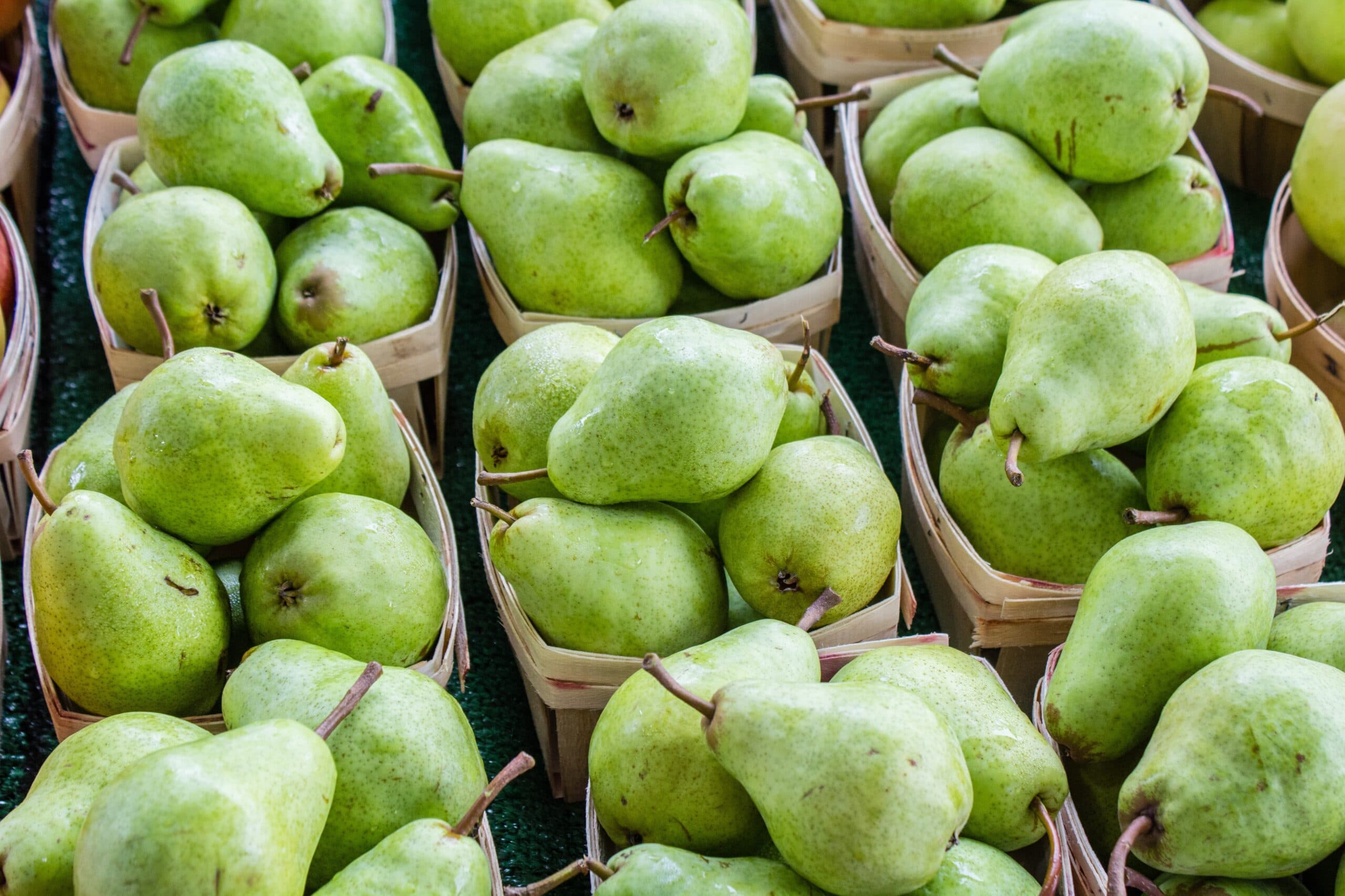 Explore the Osoyoos-Oliver Fruit Stand Trail