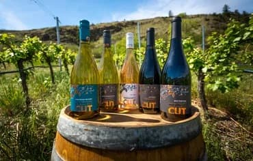 Winemaker’s Cut
